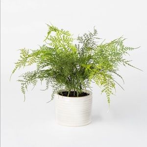 Studio McGee faux plant!